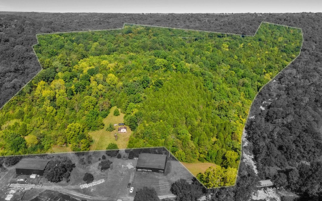 3100 Big Twin Creek | Owen County, KY